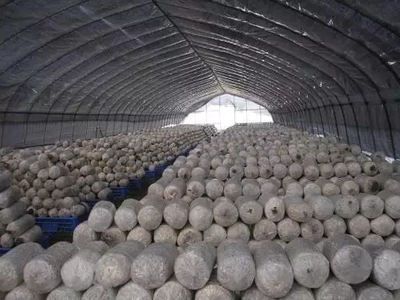 全國農(nóng)產(chǎn)品及加工副產(chǎn)物18種綜合利用經(jīng)典模式，農(nóng)人必看