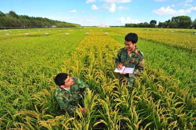北大荒 青春好年華 蓄勢(shì)再揚(yáng)帆——寫(xiě)在黑龍江墾區(qū)開(kāi)發(fā)建設(shè)七十周年之際